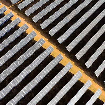 Système de suivi indépendant à rangée unique de la série GQ-T Chaoyang